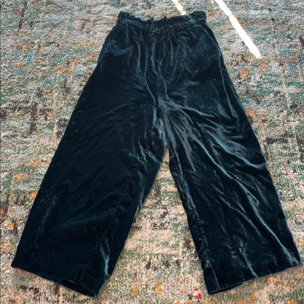NWOT ZARA Green Crushed Velvet Pull On Pant, Size XS